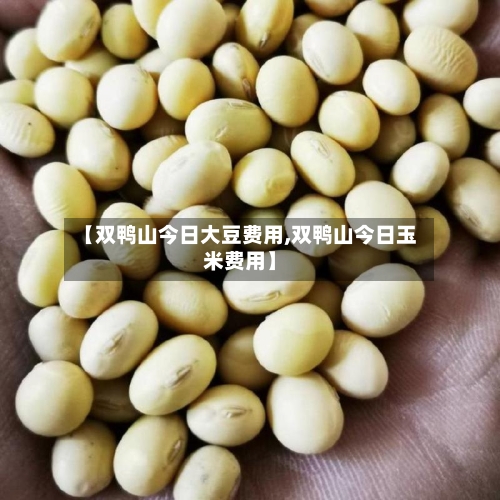 【双鸭山今日大豆费用,双鸭山今日玉米费用】-第1张图片