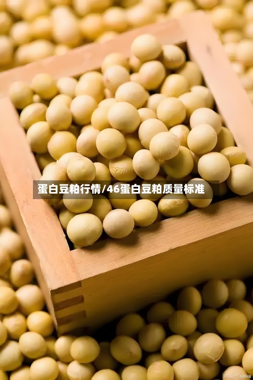 蛋白豆粕行情/46蛋白豆粕质量标准-第1张图片