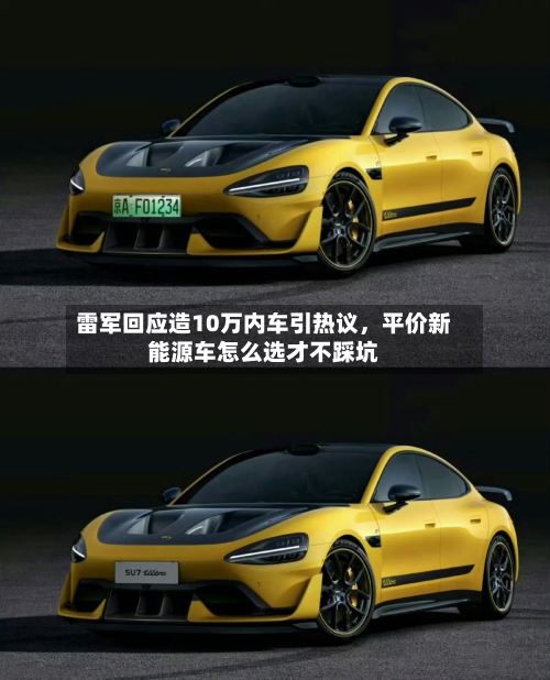 雷军回应造10万内车引热议，平价新能源车怎么选才不踩坑-第2张图片