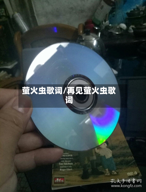 萤火虫歌词/再见萤火虫歌词-第2张图片