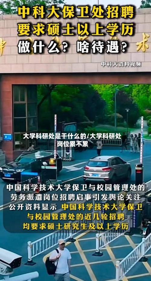 大学科研处是干什么的/大学科研处岗位累不累-第2张图片