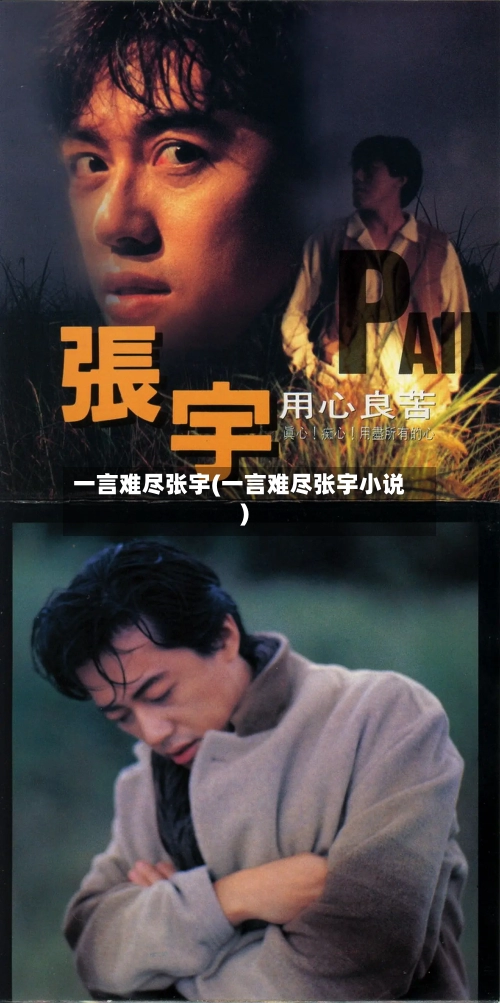 一言难尽张宇(一言难尽张宇小说)-第1张图片