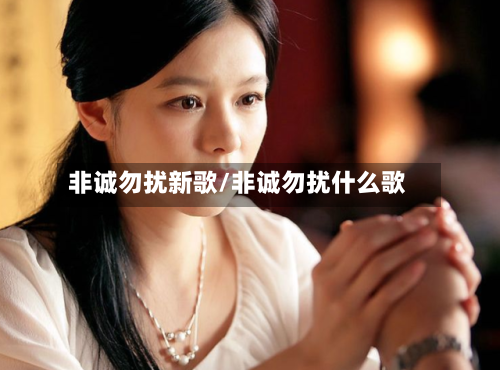 非诚勿扰新歌/非诚勿扰什么歌-第1张图片