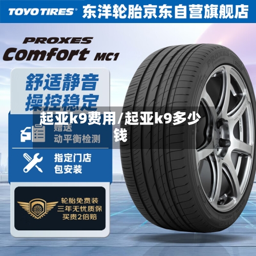 起亚k9费用/起亚k9多少钱-第2张图片