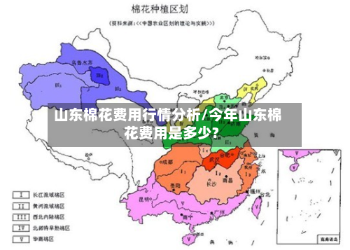 山东棉花费用行情分析/今年山东棉花费用是多少?-第2张图片