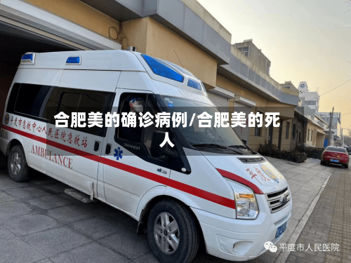 合肥美的确诊病例/合肥美的死人-第2张图片