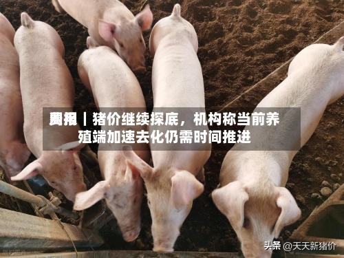 费用周报｜猪价继续探底，机构称当前养殖端加速去化仍需时间推进-第2张图片