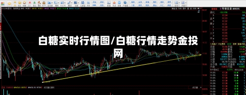 白糖实时行情图/白糖行情走势金投网-第1张图片
