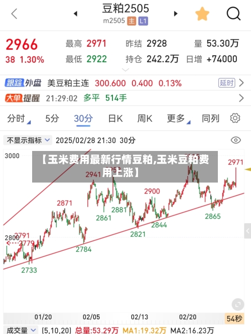 【玉米费用最新行情豆粕,玉米豆粕费用上涨】-第3张图片
