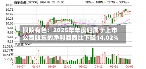 铜陵有色：2025年年度归属于上市公司股东的净利润同比下降14.02%-第2张图片
