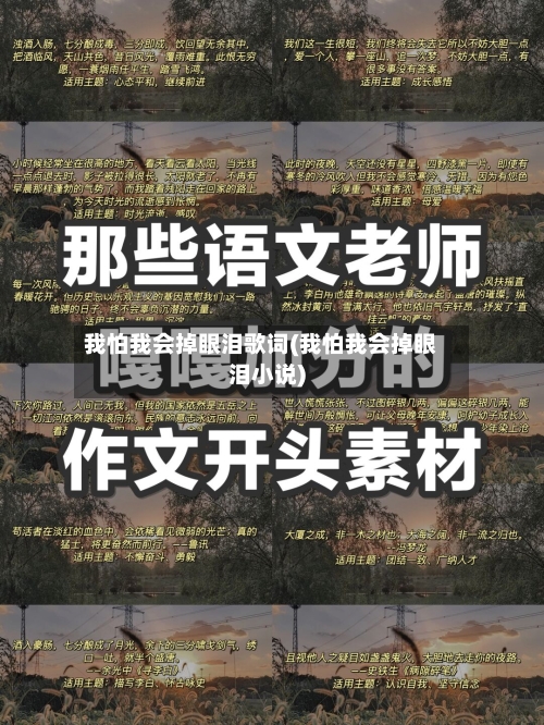 我怕我会掉眼泪歌词(我怕我会掉眼泪小说)-第2张图片