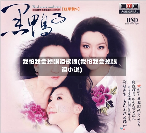 我怕我会掉眼泪歌词(我怕我会掉眼泪小说)-第1张图片