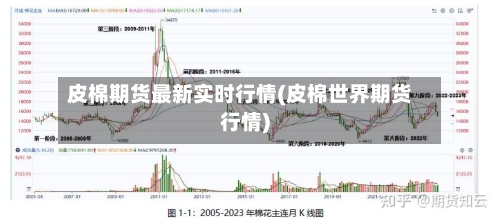 皮棉期货最新实时行情(皮棉世界期货行情)-第2张图片