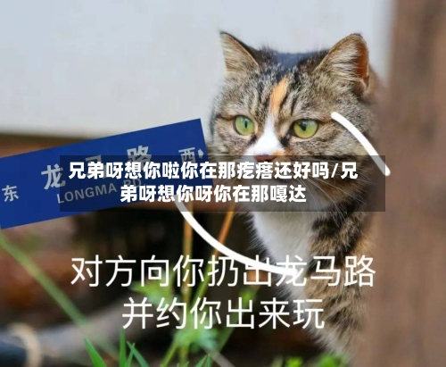 兄弟呀想你啦你在那疙瘩还好吗/兄弟呀想你呀你在那嘎达-第1张图片