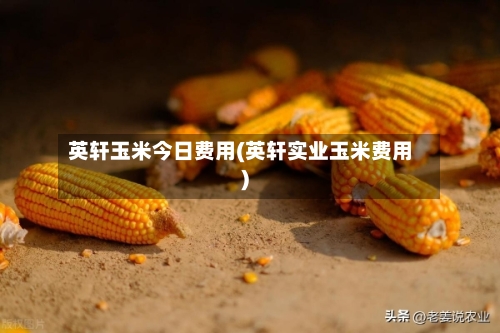 英轩玉米今日费用(英轩实业玉米费用)-第1张图片