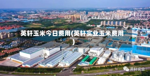 英轩玉米今日费用(英轩实业玉米费用)-第3张图片