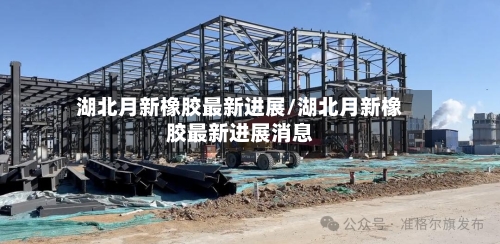 湖北月新橡胶最新进展/湖北月新橡胶最新进展消息-第2张图片