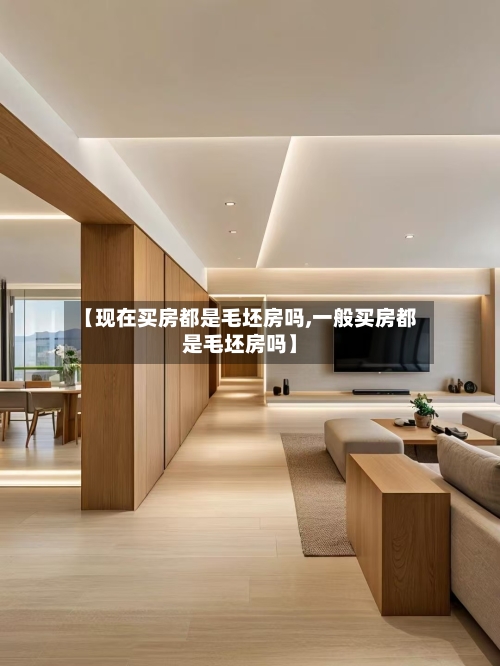 【现在买房都是毛坯房吗,一般买房都是毛坯房吗】-第1张图片