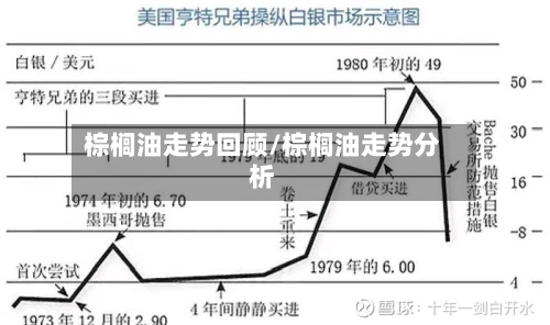 棕榈油走势回顾/棕榈油走势分析-第3张图片
