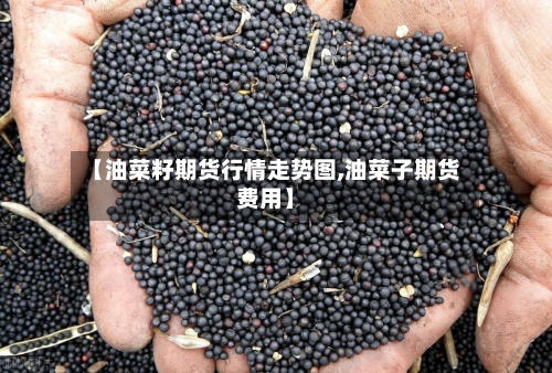 【油菜籽期货行情走势图,油菜子期货费用】-第1张图片