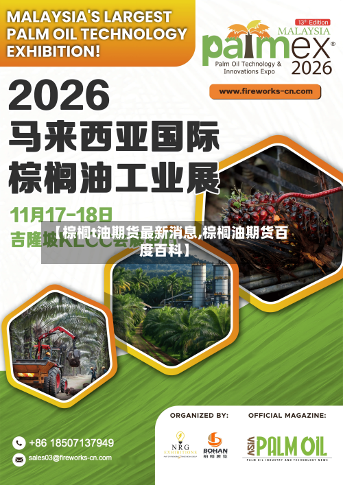 【棕榈t油期货最新消息,棕榈油期货百度百科】-第1张图片