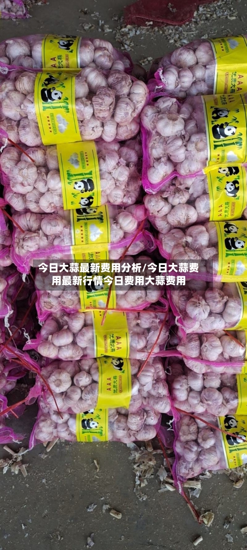 今日大蒜最新费用分析/今日大蒜费用最新行情今日费用大蒜费用-第1张图片