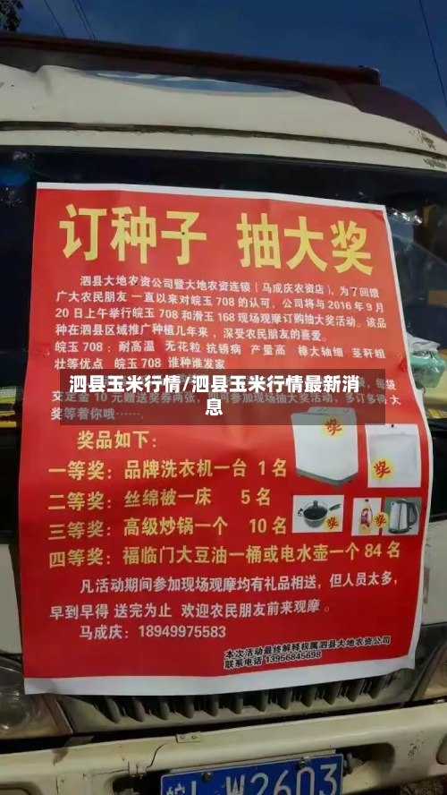 泗县玉米行情/泗县玉米行情最新消息-第1张图片