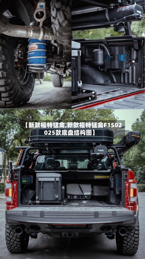 【新款福特猛禽,新款福特猛禽F1502025款底盘结构图】-第3张图片