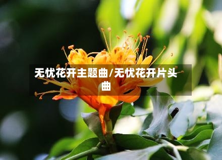 无忧花开主题曲/无忧花开片头曲-第2张图片