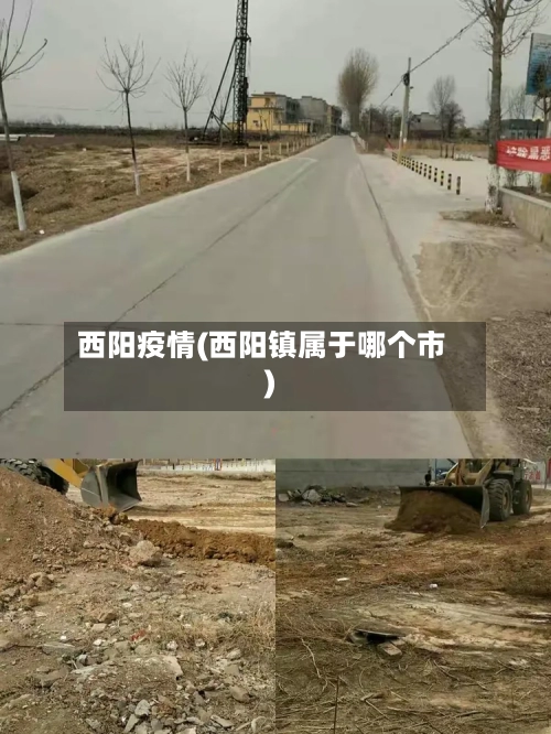 西阳疫情(西阳镇属于哪个市)-第2张图片