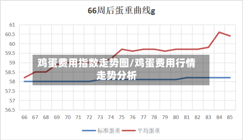 鸡蛋费用指数走势图/鸡蛋费用行情走势分析-第1张图片