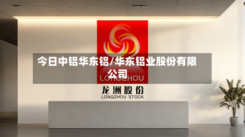 今日中铝华东铝/华东铝业股份有限公司-第2张图片