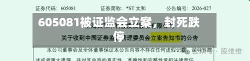605081被证监会立案	，封死跌停-第1张图片