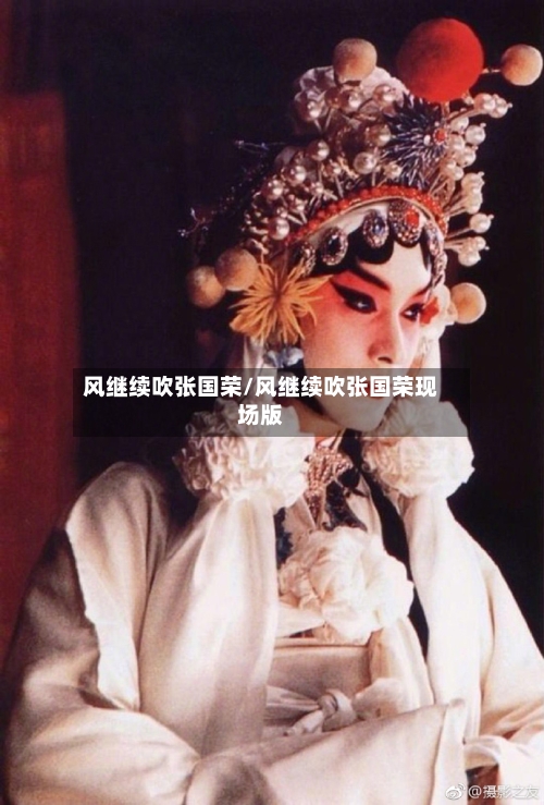 风继续吹张国荣/风继续吹张国荣现场版-第1张图片