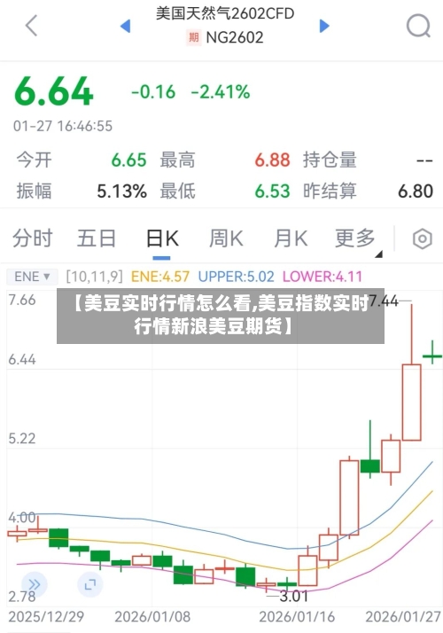 【美豆实时行情怎么看,美豆指数实时行情新浪美豆期货】-第1张图片