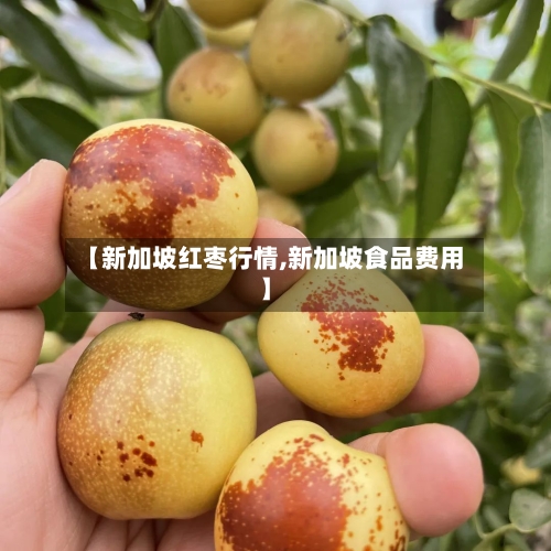 【新加坡红枣行情,新加坡食品费用】-第1张图片