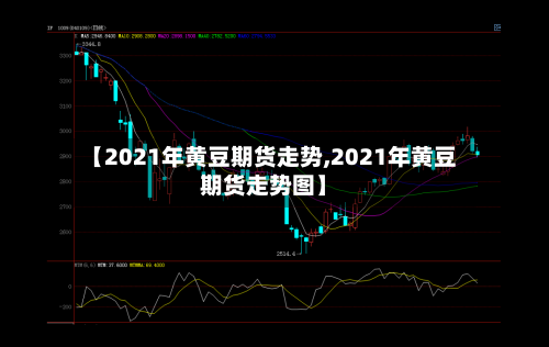 【2021年黄豆期货走势,2021年黄豆期货走势图】-第1张图片