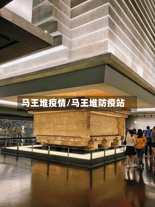 马王堆疫情/马王堆防疫站-第2张图片