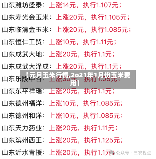 【元月玉米行情,2o21年1月份玉米费用】-第1张图片