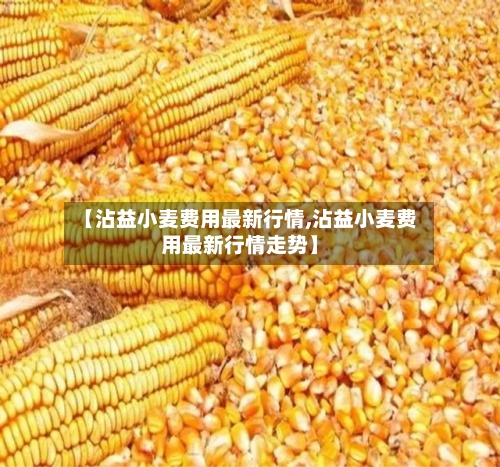 【沾益小麦费用最新行情,沾益小麦费用最新行情走势】-第2张图片