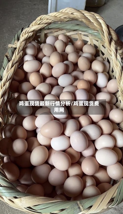鸡蛋现货最新行情分析/鸡蛋现货费用网-第1张图片