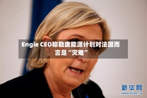 Engie CEO称勒庞能源计划对法国而言是“灾难	”-第3张图片