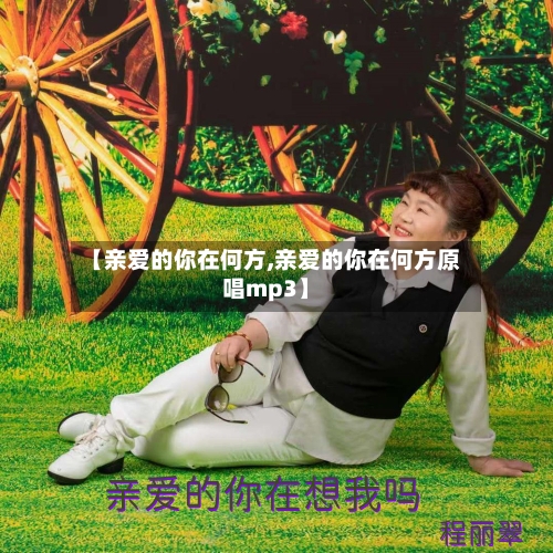 【亲爱的你在何方,亲爱的你在何方原唱mp3】-第2张图片