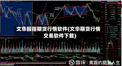 文华股指期货行情软件(文华期货行情交易软件下载)-第1张图片