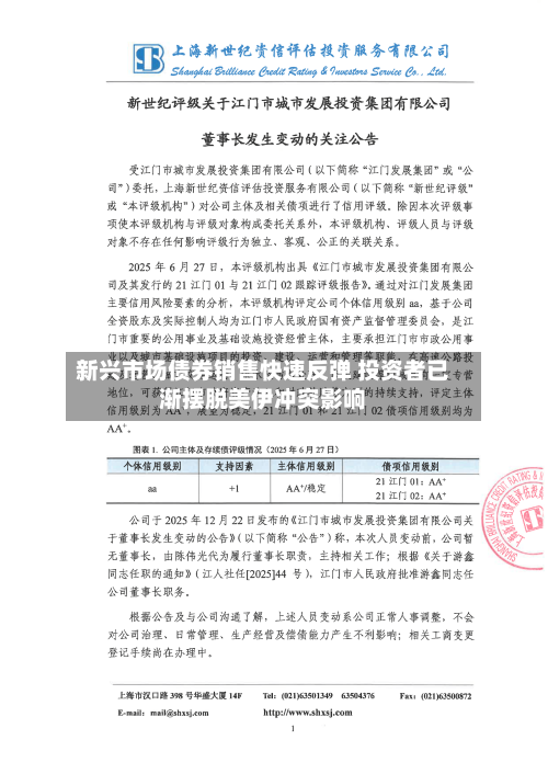 新兴市场债券销售快速反弹 投资者已渐摆脱美伊冲突影响-第1张图片
