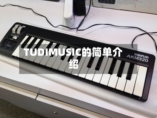 TUDIMUSIC的简单介绍-第1张图片
