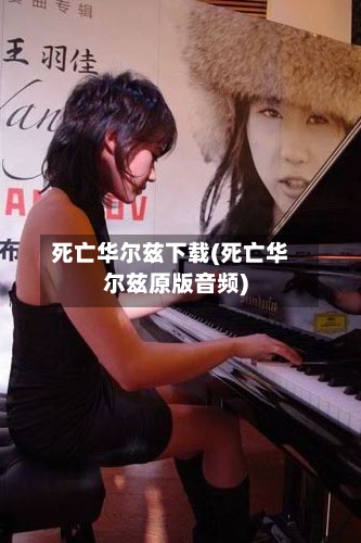 死亡华尔兹下载(死亡华尔兹原版音频)-第2张图片