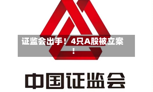 证监会出手！4只A股被立案！-第1张图片