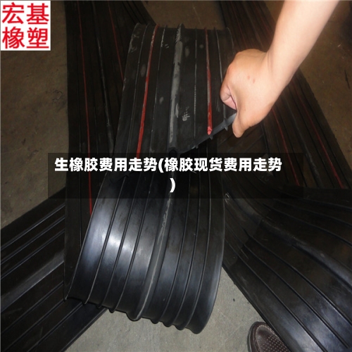 生橡胶费用走势(橡胶现货费用走势)-第2张图片