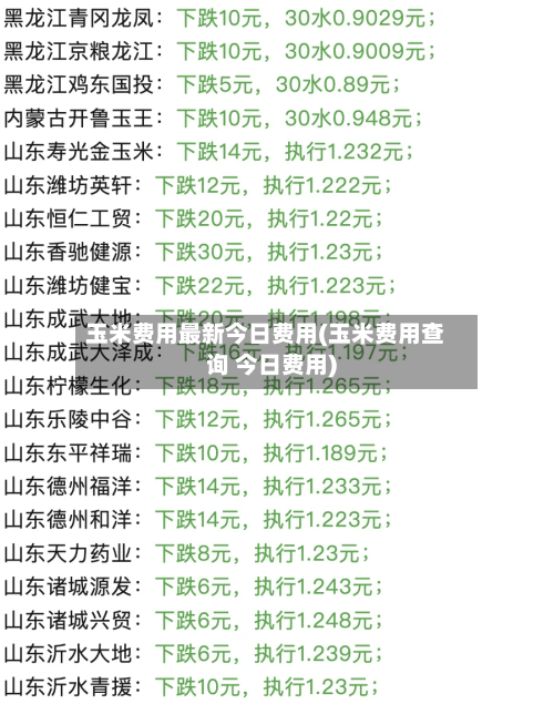 玉米费用最新今日费用(玉米费用查询 今日费用)-第1张图片